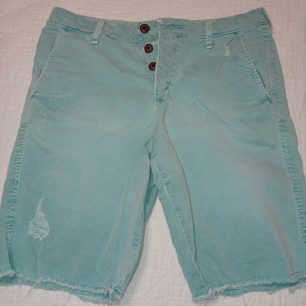 Men's Hollister Button Fly Teal Shorts Size 32